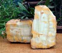 /album/fotogaleria-lapidables/dsc0035-jpg1/