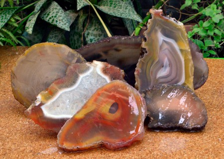 Agatas